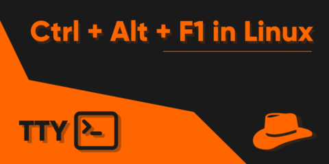 Linux ctrl alt f1 как выйти