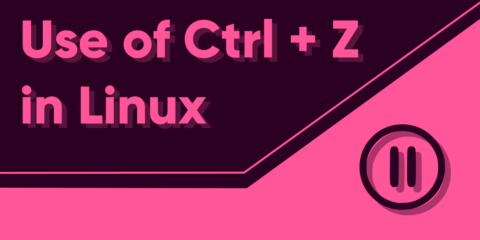 Linux ctrl z восстановить